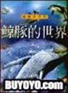 鯨豚的世界